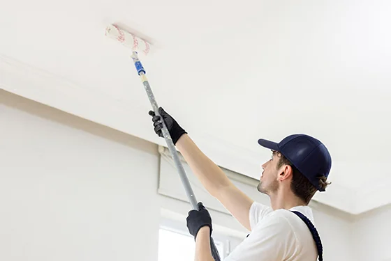 Detailed Ceiling & Trim Painting in Harwood, ND