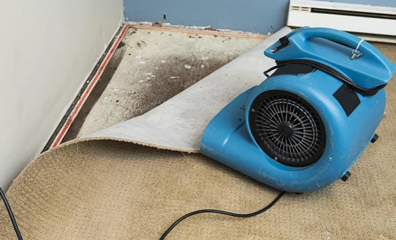Effective Basement Water Extraction in Argusville, ND